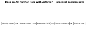 Air Purifier Asthma