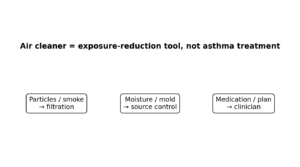 Air Purifier Asthma trigger