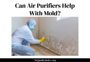 can air purifiers help with mold